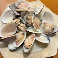 ハマグリの酒蒸しドーン