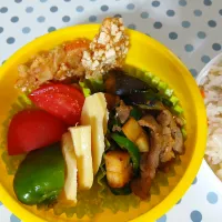 筍尽くしなお家でお花見弁当🤭|ぽんすけさん