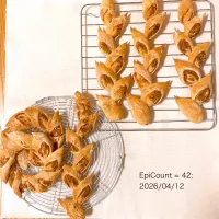 今週のベーコン・エピ|Ruotoさん