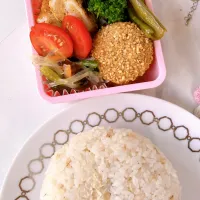 玄米ツナマヨ🍙弁当