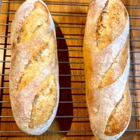 試行錯誤のバゲット作り🥖|アッコ✨さん