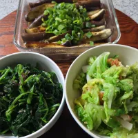 副菜3種|aoiさん