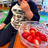 孫とイチゴ🍓| すかラインさん