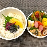 高校生息子のお弁当🍱 ハンバーグ弁当🍱|Snow10さん