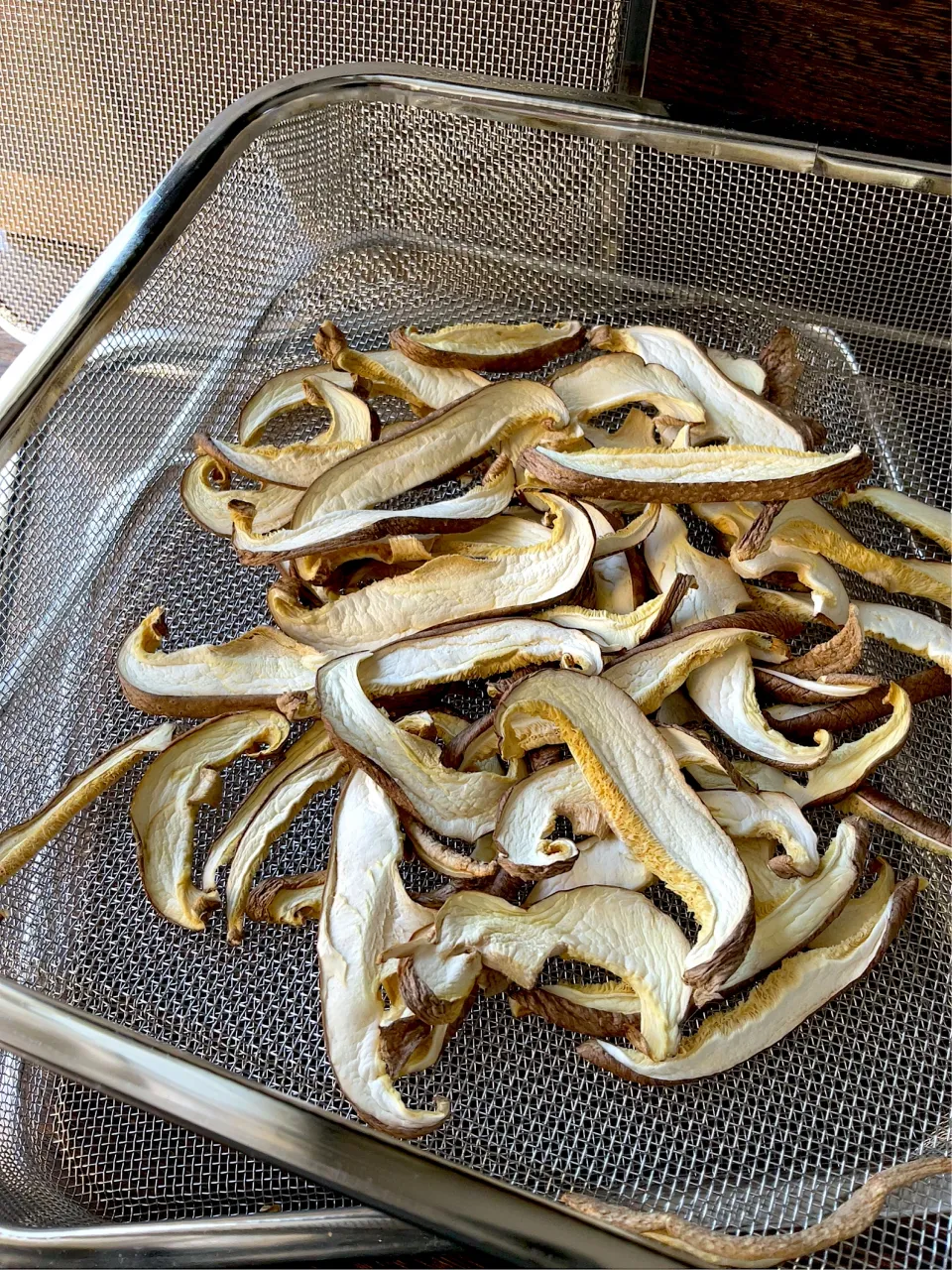 浴室栽培の椎茸で「干し椎茸」🍄|9421beruさん