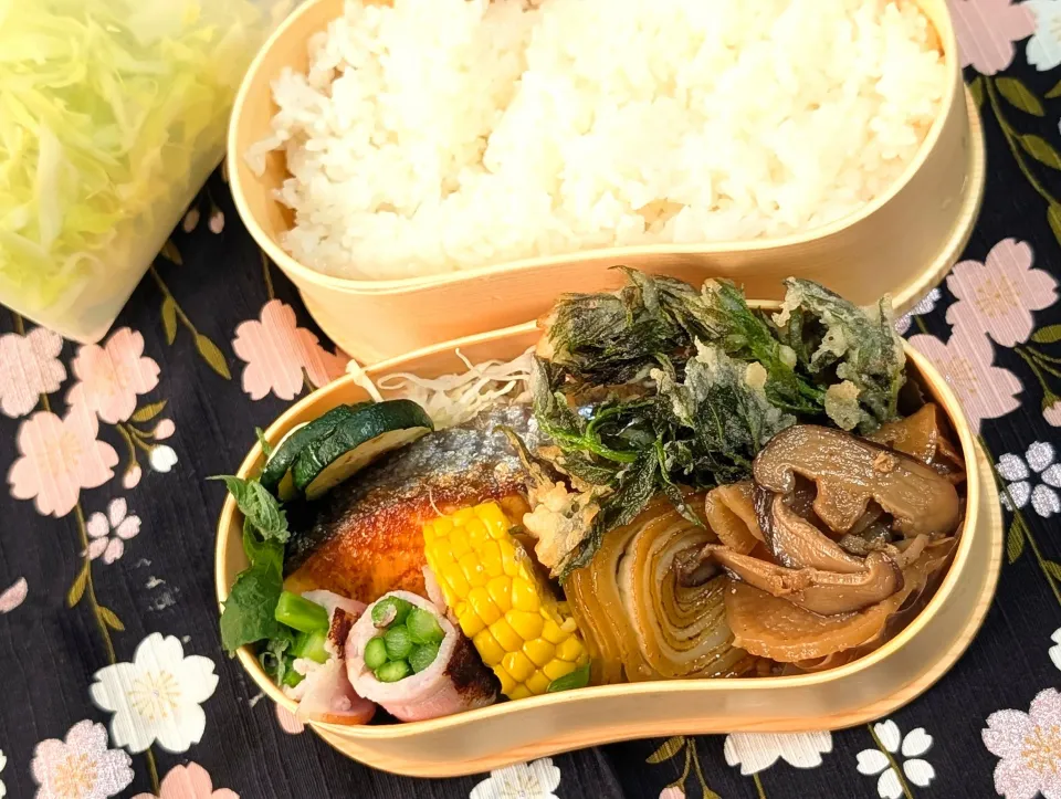 本日のお弁当〜shun de bento|f.1125beさん