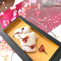 桜求肥|oisicake8さん