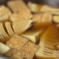 筍と厚揚げの煮たのん✨✨| tamemitiさん