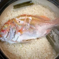 鯛めし|Kouki Tanabeさん