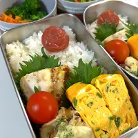 鯖の塩焼き　ネギ入りだし巻き玉子　ツナジャコ椎茸カップチーズ焼き　ミニトマト🍅ブロッコリー🥦人参デーツラペ🥕|まゆさん