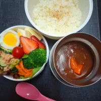 🍅チキンのトマトソース煮弁当🍅