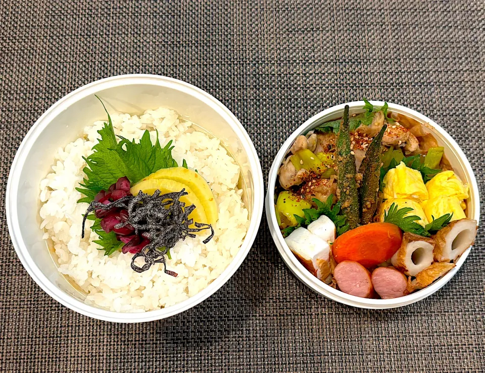 高校生息子のお弁当🍱 焼き鳥弁当🍱|Snow10さん