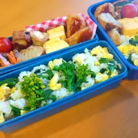 アッチさんの料理 菜の花ごはん| tamagomagomagoさん