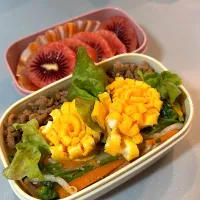 ビビンバ弁当|matumotommさん