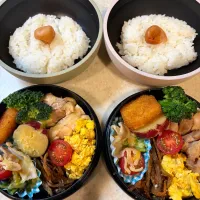 2026/4/14| tomさん