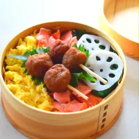 2026.4.14 (火)  三色弁当🍱