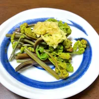 わらび生姜|ヒロミ🏝🏝🏝🌺🏄🌊🐬🏄‍♀️🏄‍♂️🍹🐠👙🌺さん