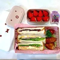 高校生娘お弁当4/14|hana-bloomingさん
