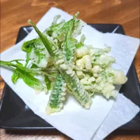 🍀タラの芽とセロリの天ぷら| ゆきさんさん