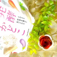 糠漬け|U・x・Uchokoさん