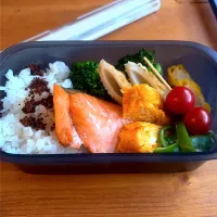 お弁当|おさかなさん