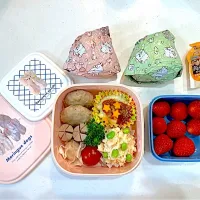 高校生娘お弁当4/15|hana-bloomingさん
