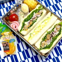 4/15 サンドウィッチ弁当|JUNe28さん