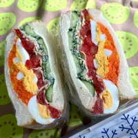 自分弁当🥪| がおりんさん