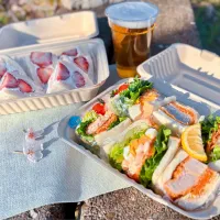 ひとりお花見サンドイッチ弁当🌸