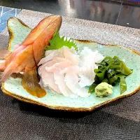 隠れ広島名物アコウ刺身|tetsuya fujiさん