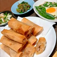 筍の春巻き～🎶
