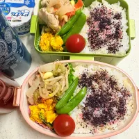 今日のお仕事弁当♪2026.4.16|ぐぅさん