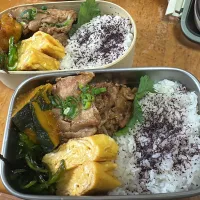 お弁当|ぽんちさん