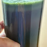 朝食その①今日は、のーんびりできるので、小松菜と人参とりんごの酵素ジュース❣️|tamemitiさん