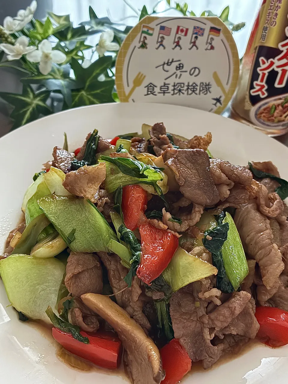 牛肉と野菜のオイスターソース炒め|あやめもちもちさん