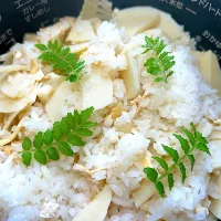 たけのこご飯✨
