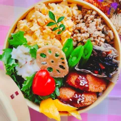 曲げわっぱ弁当/和三盆 | Snapdish[スナップディッシュ] (ID:Lz40na)