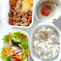 今日のお弁当に筑前煮と、ブロッコリー🥦を入れた野菜サラダと卵焼きを持って行きました。筑前煮は、いつもなら4食くらいに小分けするのですが今回は夕飯の主菜と、お昼のお弁当の2食で食べてしまいました。|マースさん