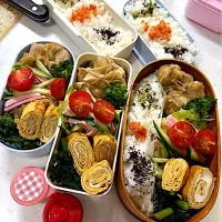 親子弁当🍙|ピヨまるさん