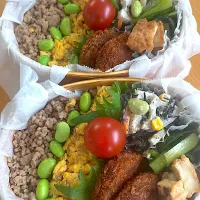 そぼろ弁当|hiro♪kouさん