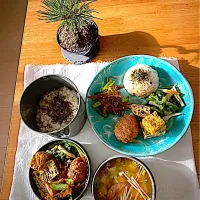 旦那さんお弁当＆myランチプレート🌱|さくたえさん