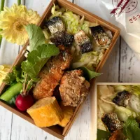 春キャベツと鰯ちらし寿司|ひろこさん