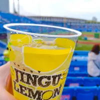神宮球場にきてます　今日はジンレモンが半額|豆大福さん
