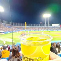 ジンレモン🍋二杯目|豆大福さん