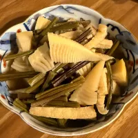 掘った筍とわらびの煮物|nao子さん