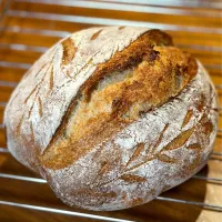 3種の粉で焼くカンパーニュ🌾