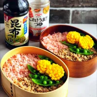 春色お弁当| ひかるさん