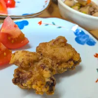 唐揚げ（シニア食）| りょうさん