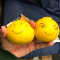 はるか