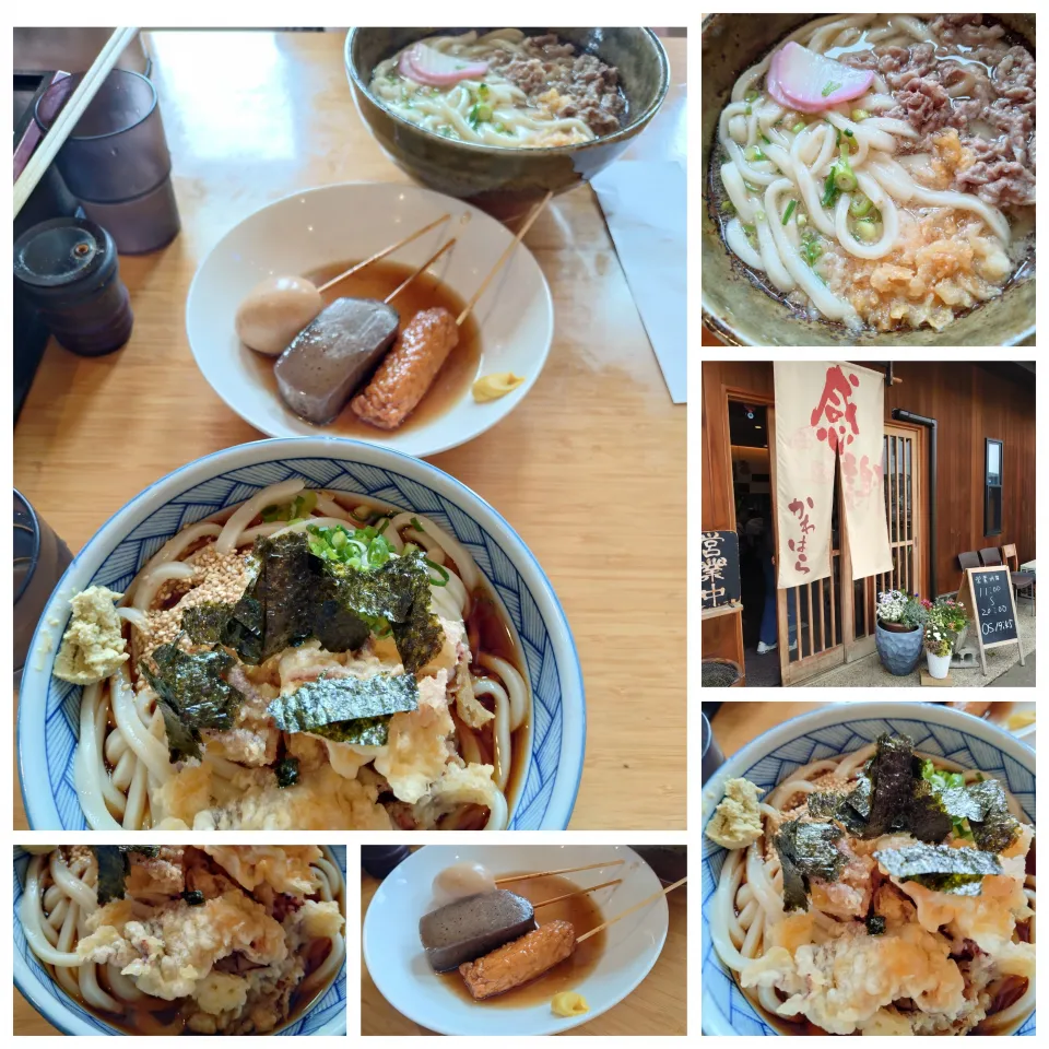 イカ天うどん|うたかた。さん